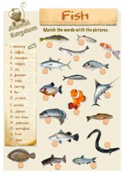 English Worksheet: Animal Kingdom - Fish (2)