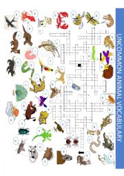 Uncommon Animal Vocabulary CROSSWORD Part 3 of a 3 set exercise 