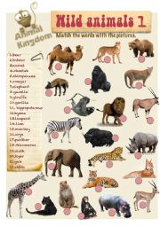 English Worksheet: Animal Kingdom - Wild (A)-2