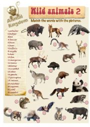 English Worksheet: Animal Kingdom - Wild (B)-2