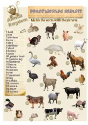 English Worksheet: Animal Kingdom - Domesticated animals (2)