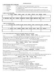 English Worksheet: vocabulary quiz