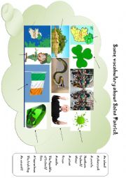 English Worksheet: Saint Patrick vocabulary