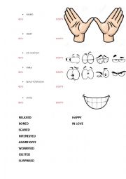 English Worksheet: BODY LANGUAGevideo practise