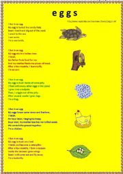 English Worksheet: Eggs