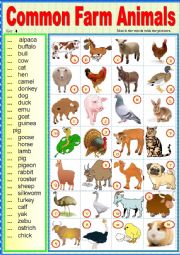 Common farm animals. Matching ex + key