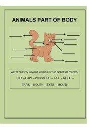 English Worksheet: animals part of body