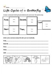 English Worksheet: Life cycle of a butterfly