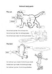 English Worksheet: Animals body parts