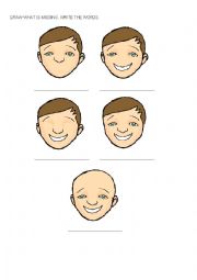 English Worksheet: Parts of the face