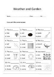 English Worksheet: Weather and Garden