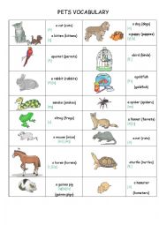 English Worksheet: Pets vocabulary