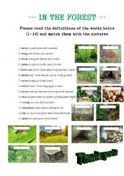 English Worksheet: FOREST VOCABULARY