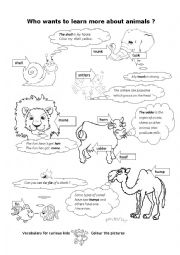 English Worksheet: To learn more about animals