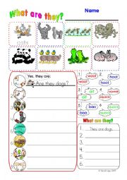 English Worksheet: Plurals Worksheet with answer key