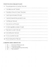 English Worksheet: reported speech