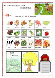 English Worksheet: On the farm