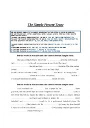 English Worksheet: the simple present tense