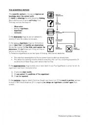 English Worksheet: The scientific method