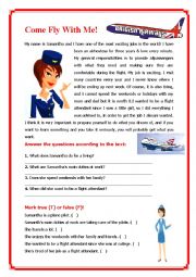 English Worksheet: Come Fly with Me!