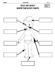 English Worksheet: Body parts