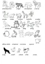 English Worksheet: animals