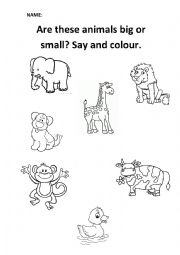 English Worksheet: Big or Small?