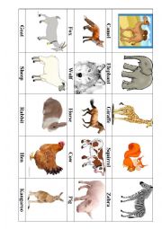 English Worksheet: Animals