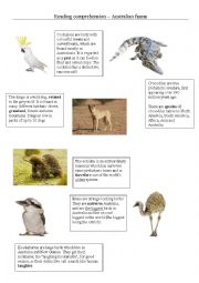 Australian fauna - reading comprehension