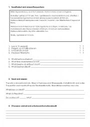 English Worksheet: Routines