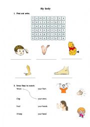 English Worksheet: my body