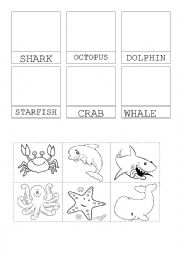 English Worksheet: Sea Animals cut and paste easy worksheet