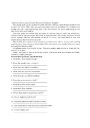 English Worksheet: daily routines 