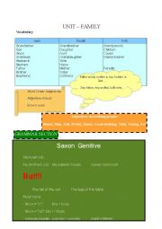 English Worksheet: Family