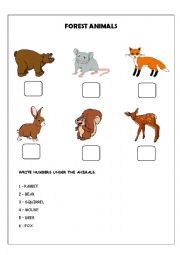 Forest animals