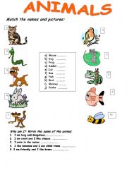 English Worksheet: Animals