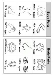 BODY PARTS FLASHCARDS