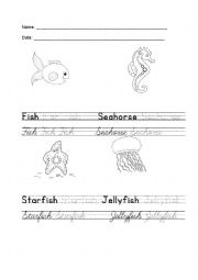 English Worksheet: Sea animals part 1