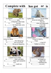 English Worksheet: Complete with HAS GOT or IS