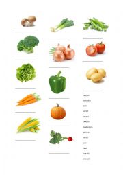 English Worksheet: Vegetables