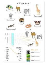 English Worksheet: Animals