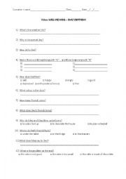 English Worksheet: Meg and Mog - Owl´s birthday