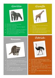 Animal facts - Gorilla, Giraffe, Raccoon, Ostrich (2/2)