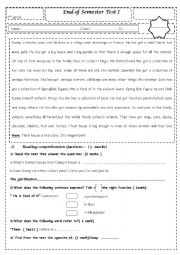 English Worksheet: End of Semester Test I 