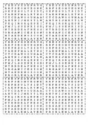 Pollution WordSearch