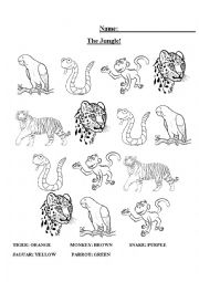 Colour Jungle Animals