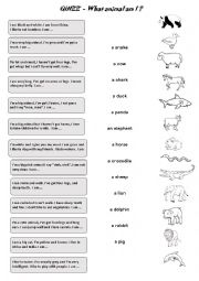 English Worksheet: Quizz: animals