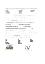 English Worksheet: MEDICAL ENGLISH VOCABULARY