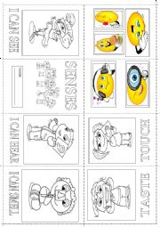 English Worksheet: MY SENSES