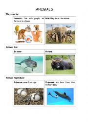 English Worksheet: Describe an animal